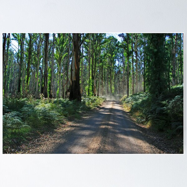 Artikelvorschau, Rejuvenating forest  entworfen und verkauft von Andrew Klym.