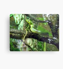 SSSnake Metal Print