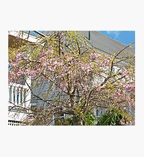Pink Ribbon Photographic Print