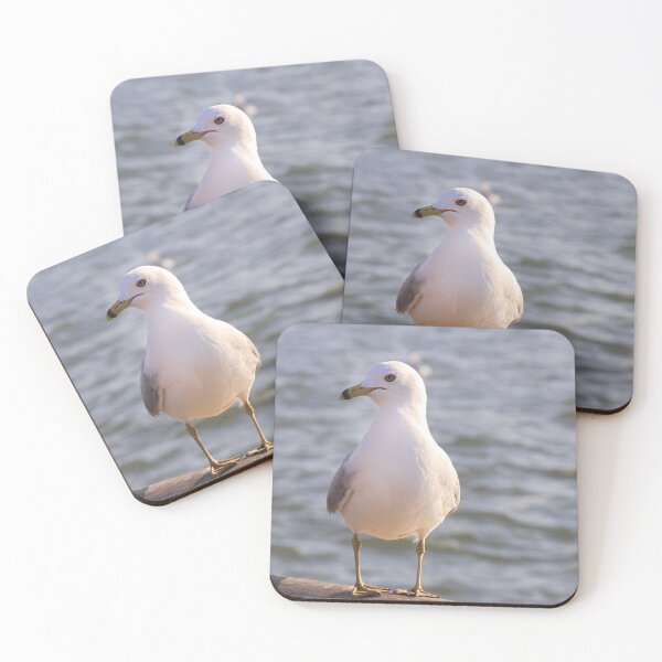 Item preview, Sea gull bird designed and sold by Dinasworld.