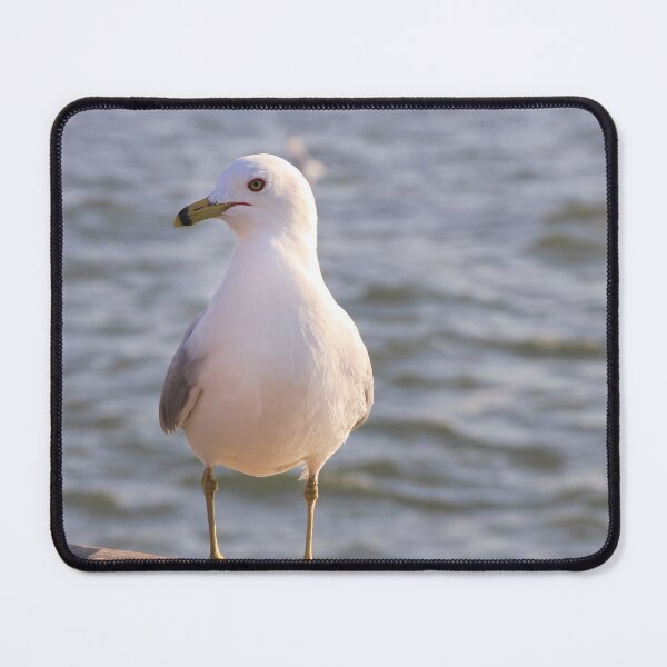 Item preview, Sea gull bird designed and sold by Dinasworld.