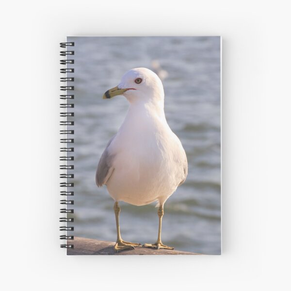 Sea gull bird Spiral Notebook