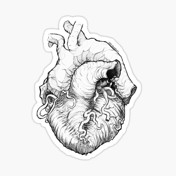 Anatomical Heart Sticker For Sale By Anachronatomy Redbubble 3846