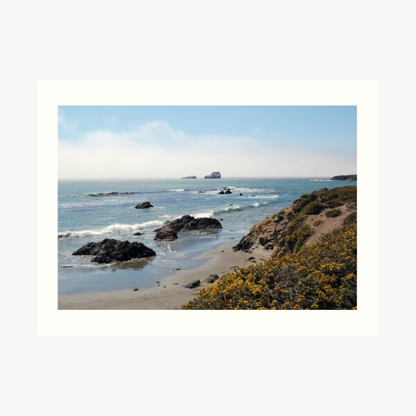 Fog Rolling Coastal Art Print