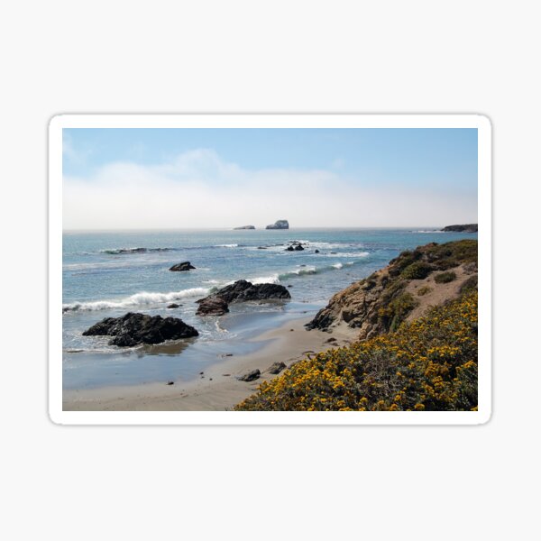 Fog Rolling Coastal Sticker