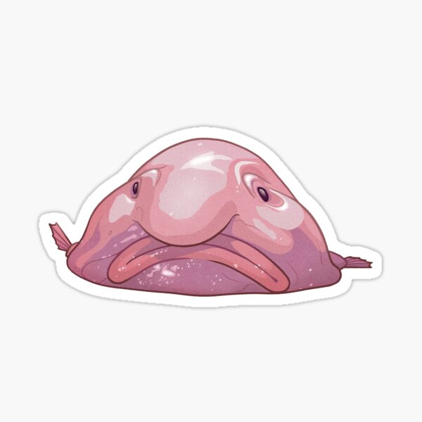 The Blobfish: More Than Just a Pretty Face, by Indira O.