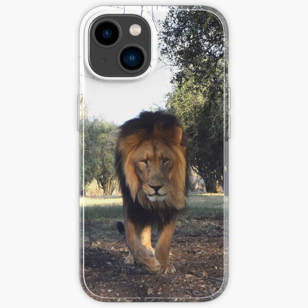iPhone 14 - Soft