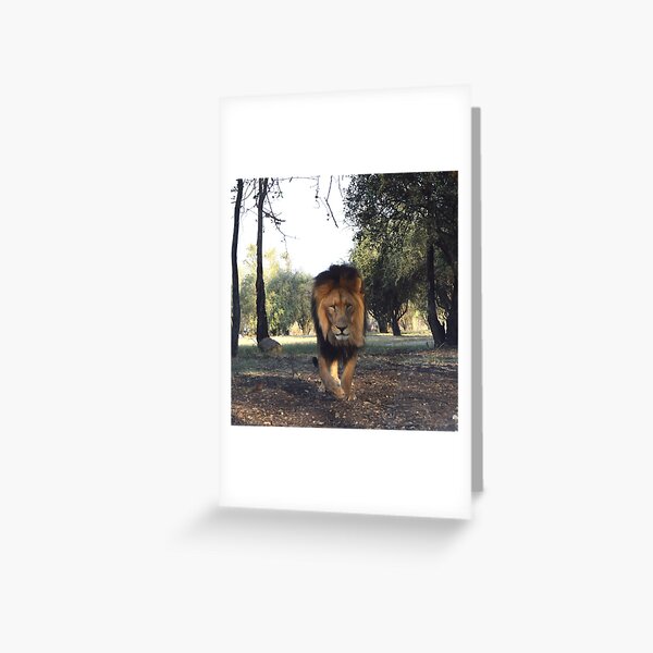 Greeting Card