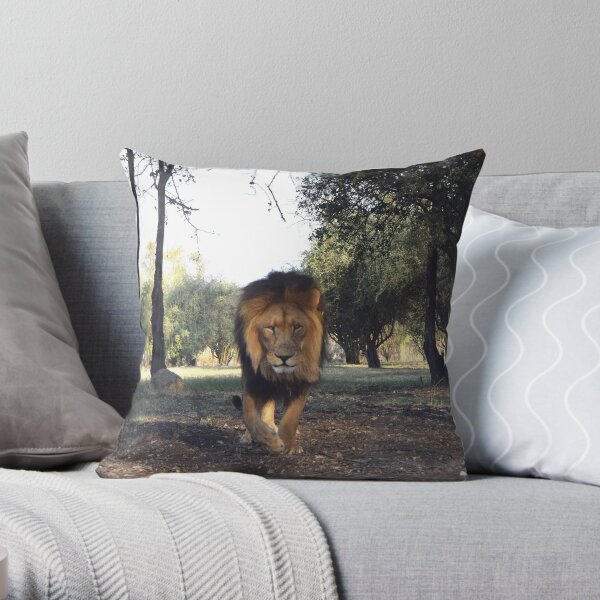 Throw Pillow
