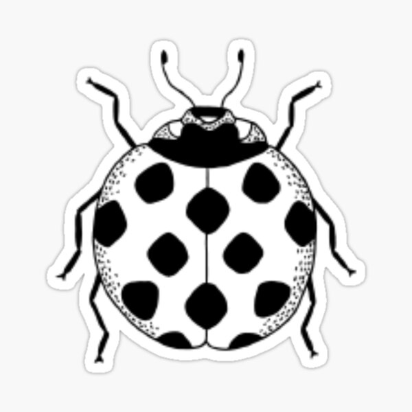 "Ladybug " Sticker for Sale by mariam99nagy Redbubble