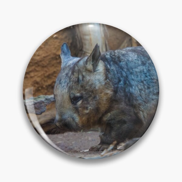 Item preview, Hairy Nosed Wombat designed and sold by Steven Jodoin.