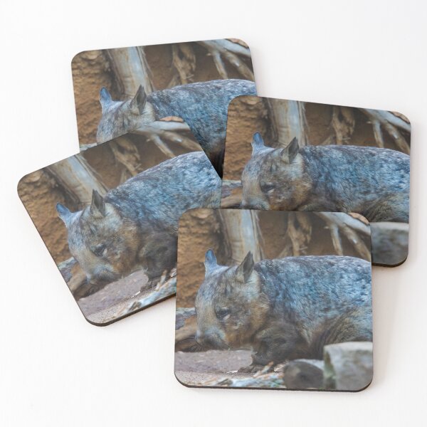 Item preview, Hairy Nosed Wombat designed and sold by Steven Jodoin.