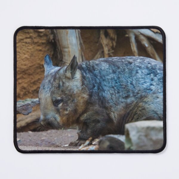 Item preview, Hairy Nosed Wombat designed and sold by Steven Jodoin.