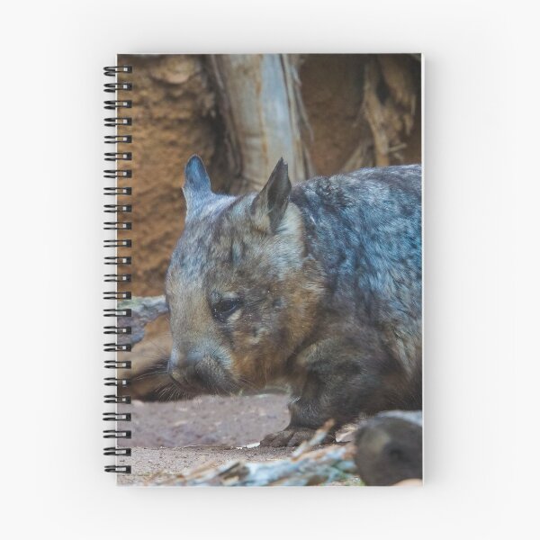 Item preview, Hairy Nosed Wombat designed and sold by Steven Jodoin.