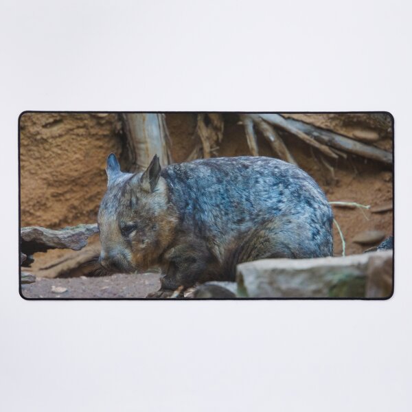 Item preview, Hairy Nosed Wombat designed and sold by Steven Jodoin.
