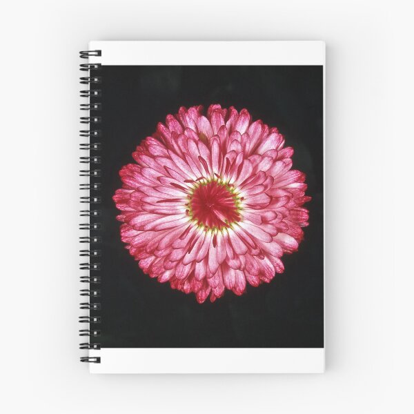 Item preview, Redondo y rosado designed and sold by dcdigital.