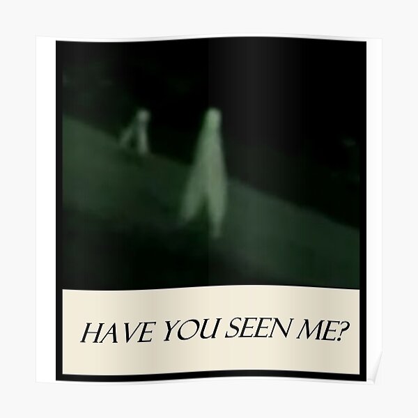 Nightcrawler - Have You Seen Me? Poster
