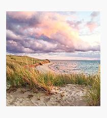 Delight Photographic Print