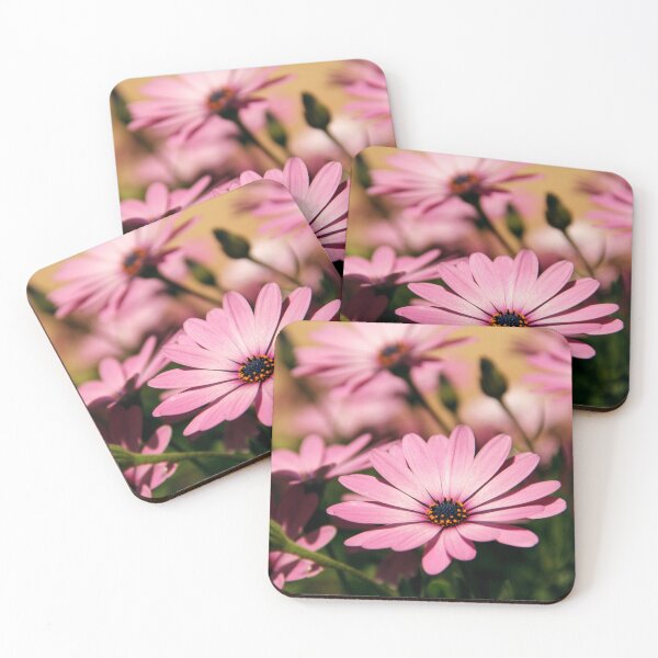 Item preview, African Daisies Garden designed and sold by Dinasworld.