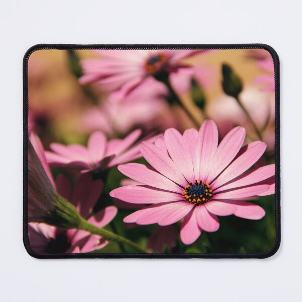 Item preview, African Daisies Garden designed and sold by Dinasworld.