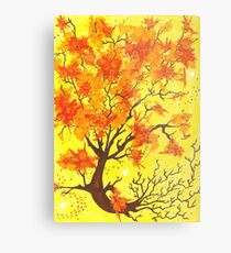 Open Channel Metal Print