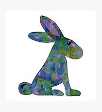 Hase Fotodruck