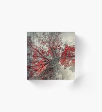Widen Acrylic Block