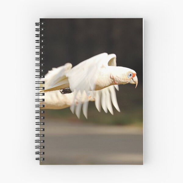 Item preview, Long-billed Corella  (1051) designed and sold by Emmy Silvius.