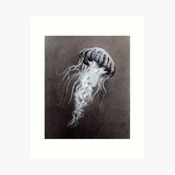 Jellyfish Art Print, White Charcoal Drawing, Ocean Art, Sea