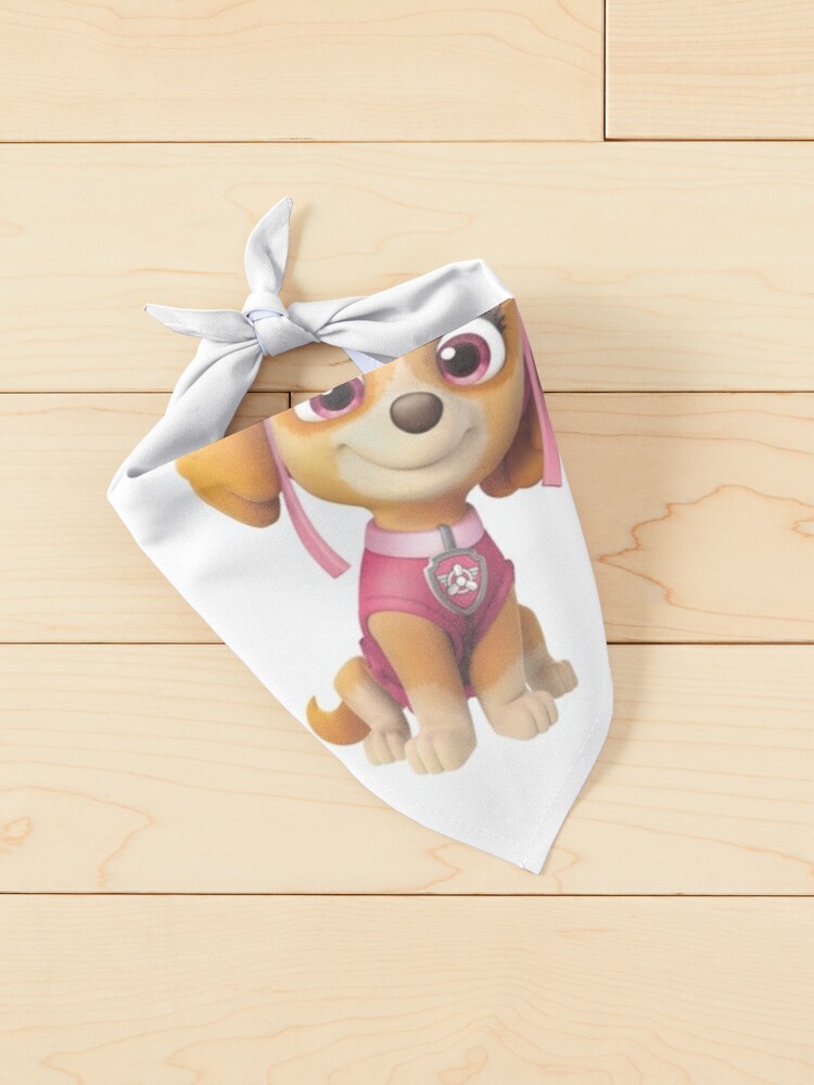 Skye Paw Patrol Poster for Sale by docubazar7