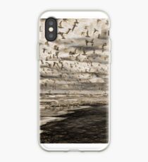 Flock of Birds iPhone Case