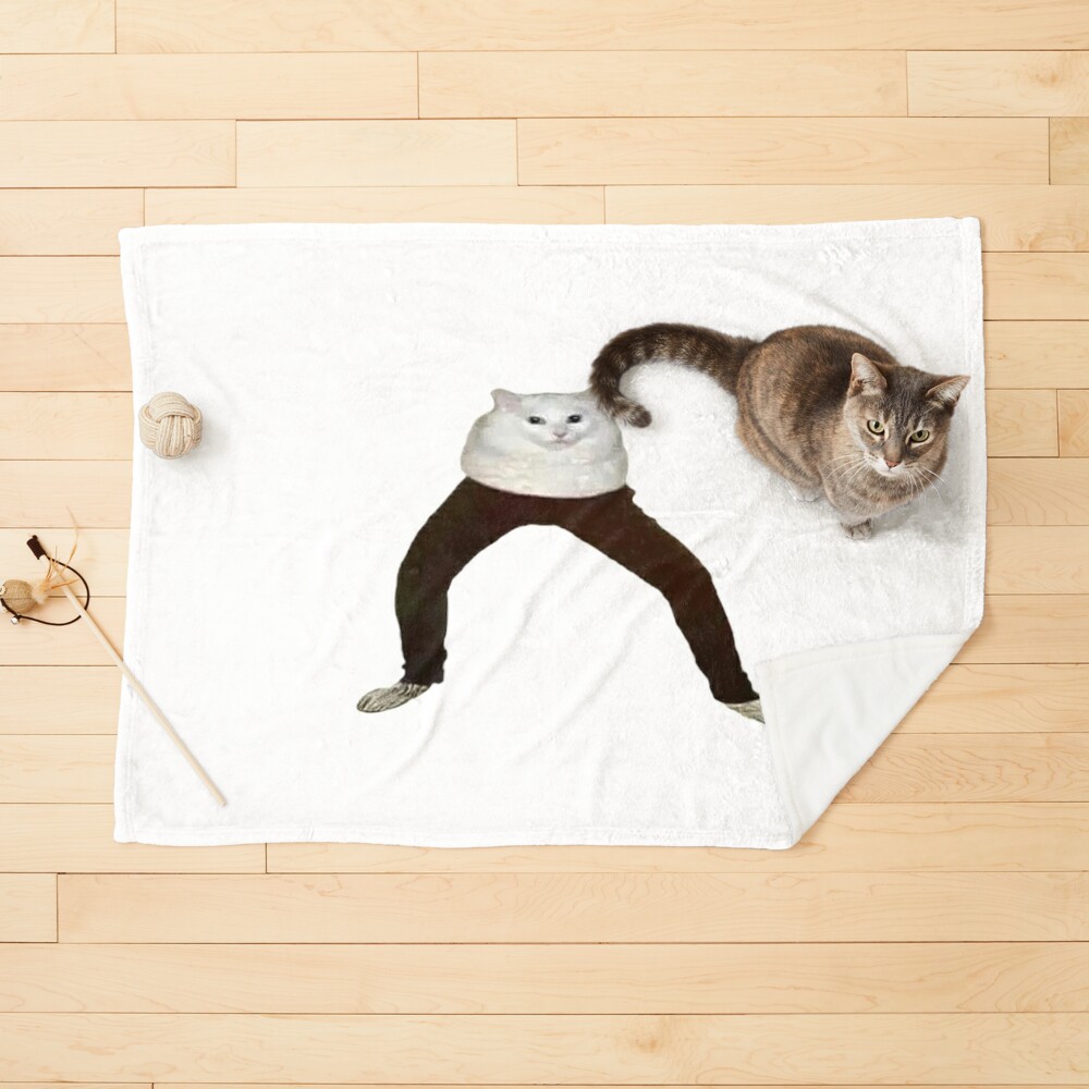 cat wearing jeans- cat funny meme face Poster for Sale by cocomelon28