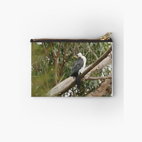 Item preview, Little Pied Cormorant  (4519) designed and sold by Emmy Silvius.