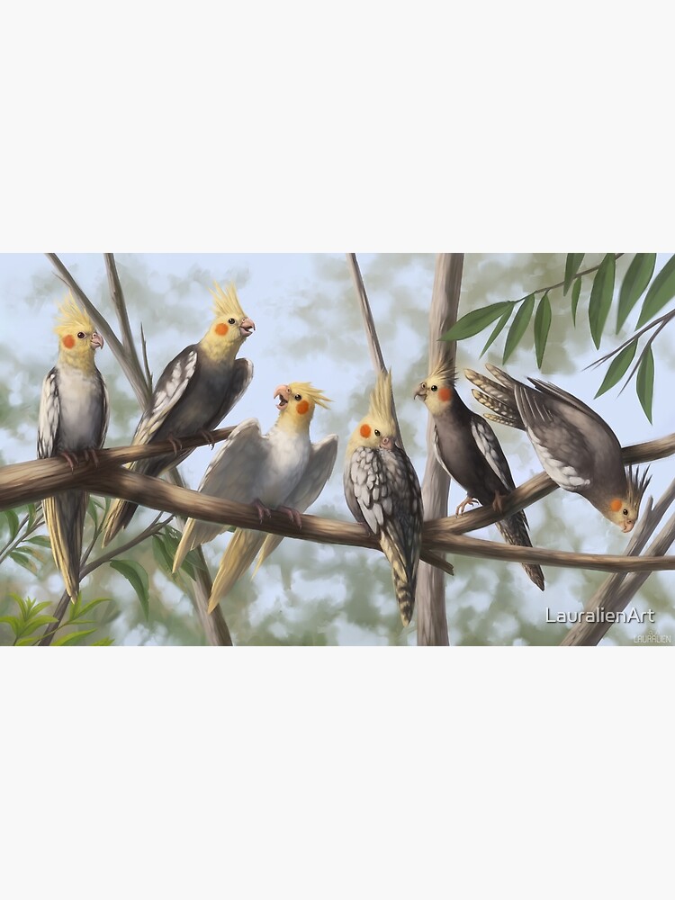 Cockatools by LauralienArt