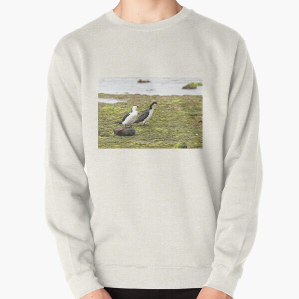 Little Pied Cormorants  (A1019) Pullover Sweatshirt