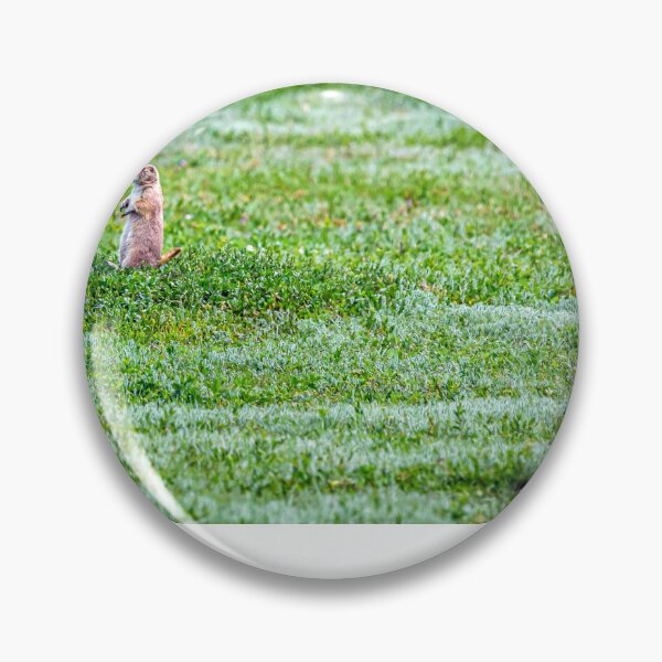 Item preview, Prairie Dog Town designed and sold by GestaltImagery.
