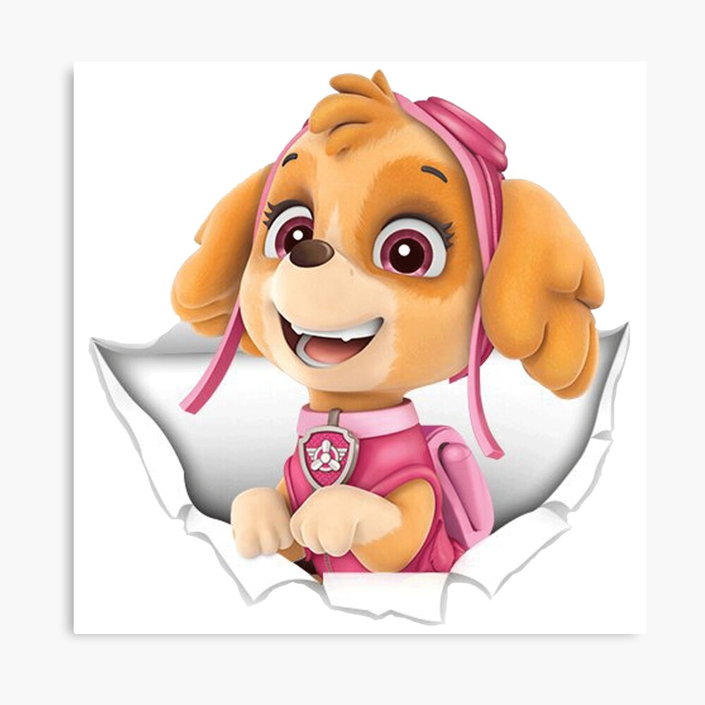 Skye Paw Patrol Photographic Print for Sale by docubazar7 | Redbubble