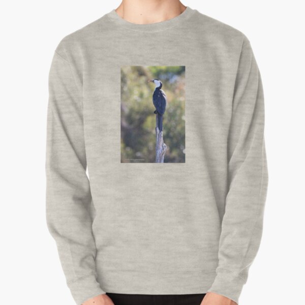 Little Pied Cormorant (3947) Pullover Sweatshirt