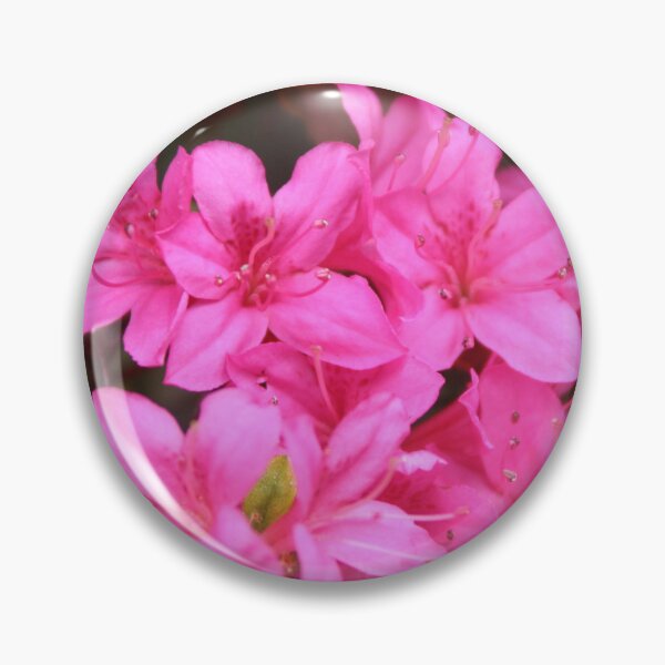 Item preview, Azaleas designed and sold by Leanne Davis.