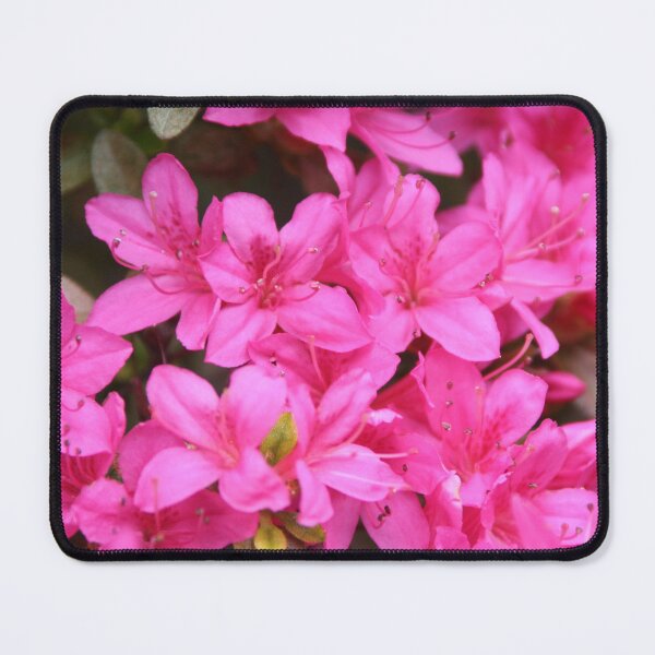 Item preview, Azaleas designed and sold by Leanne Davis.