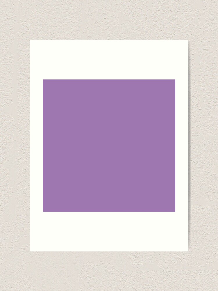 Plain Solid Color Chic Purple Medium Purple Pastel Purple Photographic  Print for Sale by mimihuang creations