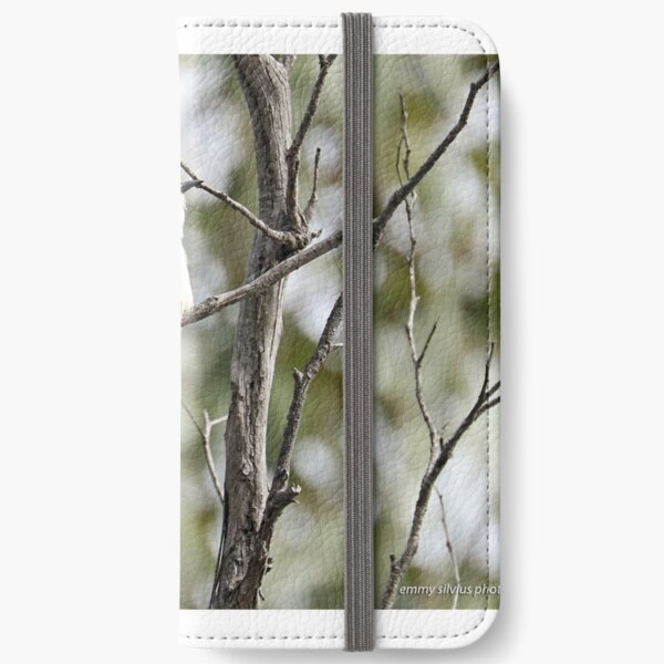 Black-eared Cuckoo (310) iPhone Wallet