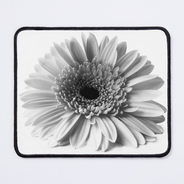Item preview, black and white gerbera daisy designed and sold by Dinasworld.