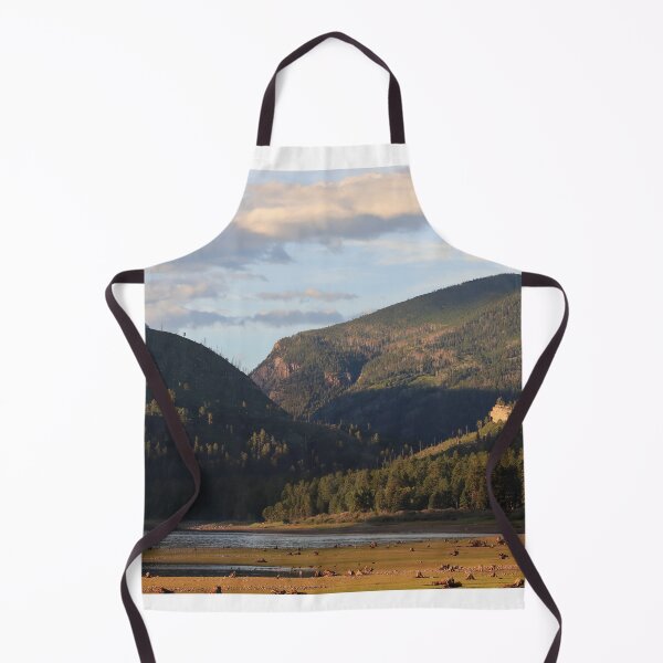 Item preview, Vallecito reservoir shores designed and sold by zumi.
