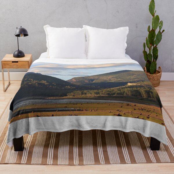 Item preview, Vallecito reservoir shores designed and sold by zumi.
