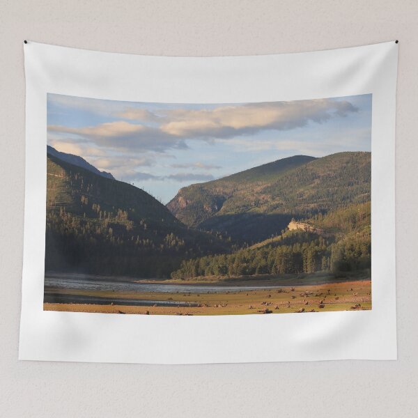 Item preview, Vallecito reservoir shores designed and sold by zumi.