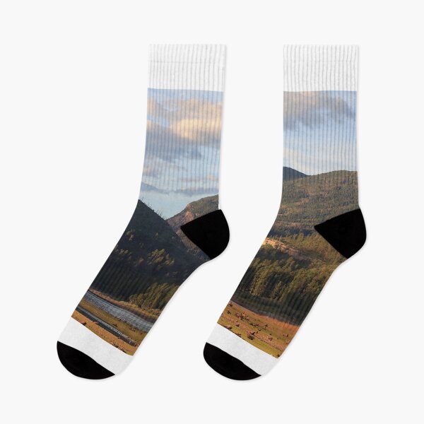 Item preview, Vallecito reservoir shores designed and sold by zumi.
