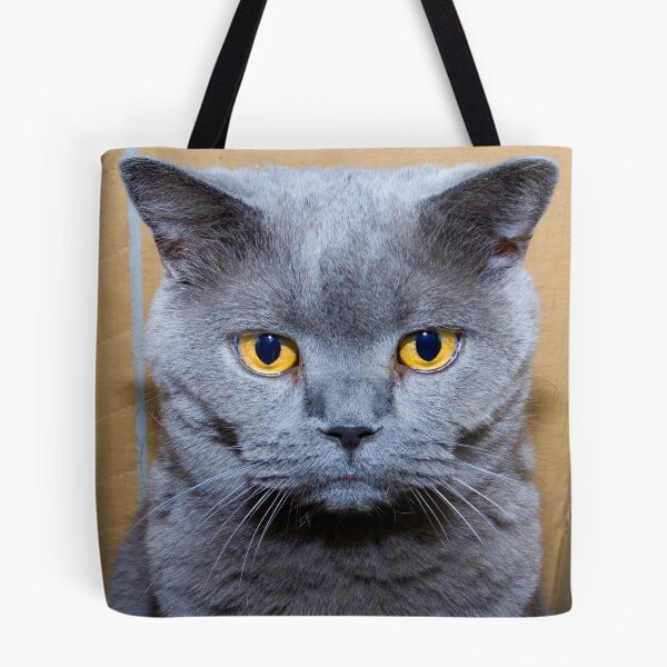 Item preview, Saffy in her Box designed and sold by Elana Bailey.
