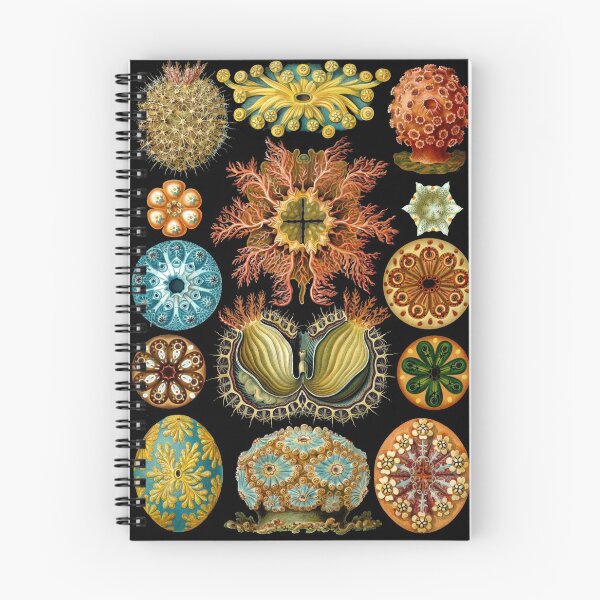 Item preview, Haeckel Ascidiae designed and sold by honeyblack.