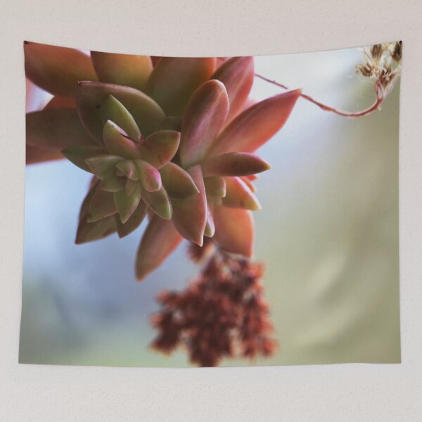 Item preview, Falling Star designed and sold by Cosmic  Fox Photography.